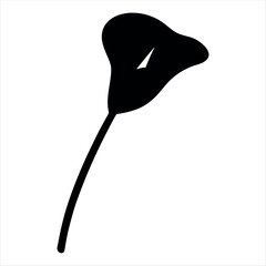 Stylized graphic illustration of a calla lily flower in black and white