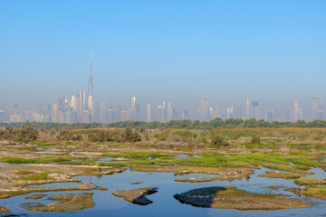 Naklejka premium panorama view of Dubai skyline from Ras Al Khor, where urban architecture meets nature. Dubai iconic skyscrapers, including Burj Khalifa, contrast with the peaceful wetlands of Dubai