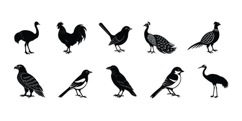 Obraz premium a bundle of birds silhouette vector illustration on white background