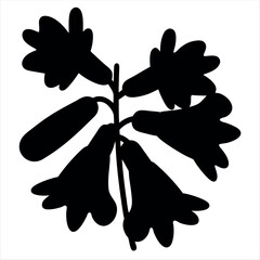 Silhouette image of a flowering plant stem with bell shaped flowers