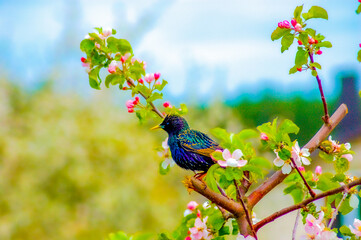 bird on a branch