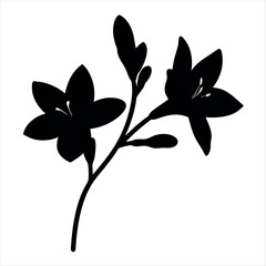 Silhouette of delicate lilies on a slender stem against a white background