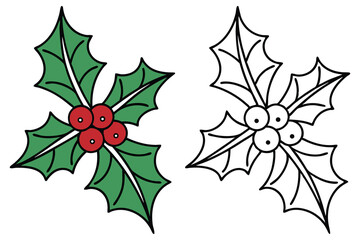 Fresh holly sprig with vibrant red berries and outlined version show on white background ©  Design_ mn