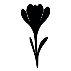 Simple black and white illustration of a crocus flower blossom