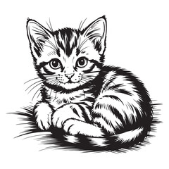 black and white cat vector