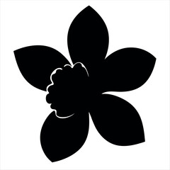 A starkly elegant black and white silhouette of a single daffodil flower