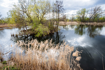 Enjoy a peaceful walk in a vibrant wetland full of biodiversity, where stunning water reflections...