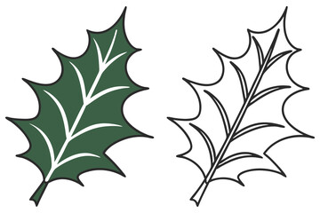 Paired holly leaf images portray verdant color and simple outline on a bright background