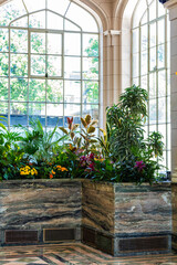 Indoor Garden with Vibrant Foliage and Natural Light in Spacious Area