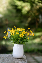 Beautiful Wild Summer Flowers in a Small Vase 