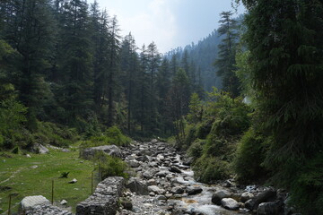 mountain river in the mountains