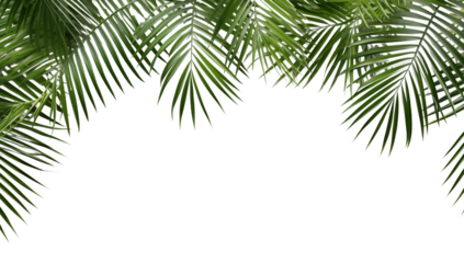 Green palm leaves framing the top edge of a creating a tropical aesthetic look transparent background png