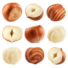 Hazelnut peeled, isolated on white background, full depth of field