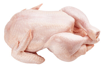 Fototapeta premium raw Chicken isolated on white background, full depth of field
