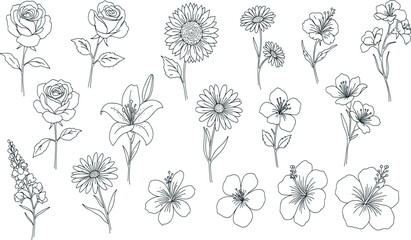 Flower line icon set. Vector pictograms of rose, tulip, daisy, orchid, sunflower, peony, gladiolus, snapdragon, stock, delphinium