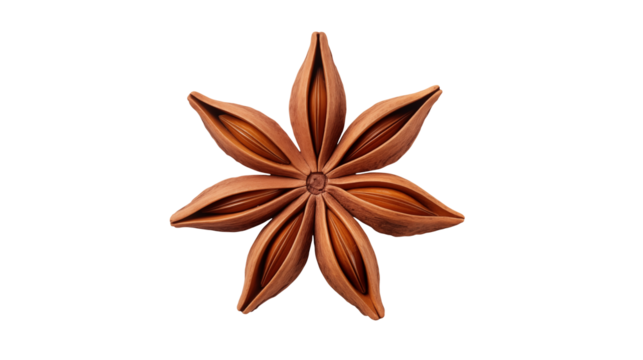 A single star anise spice with eight points isolated on transparent background	