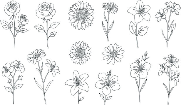 Flower line icon set. Vector pictograms of rose, tulip, daisy, orchid, sunflower, peony, gladiolus, snapdragon, stock, delphinium