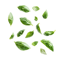 green mint leaves isolated on white