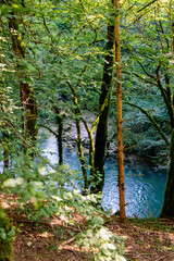 A serene view through the dense forest, revealing a clear blue river below. Shot along the Via Francigena between Mouthier-Haute-Pierre and Ouhans, France