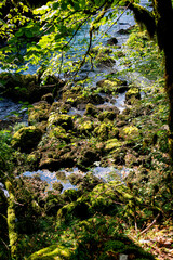 A serene view through the dense forest, revealing a clear blue river below. Shot along the Via Francigena between Mouthier-Haute-Pierre and Ouhans, France