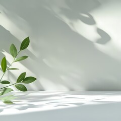Minimalist plant leaves casting soft shadows on a light gray surface, highlighting gentle natural elegance and tranquility