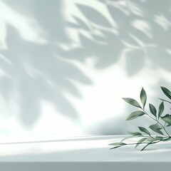 Leaf shadows on white surface, minimalistic composition with soft light, serene and tranquil ambiance.