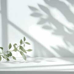 Minimalist leaf branch shadows, soft light, tranquil ambiance, green and white tones, serene atmosphere, natural elegance