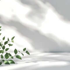 Sunlit leaves casting shadows on smooth, white surface creating peaceful atmosphere with gentle natural highlights
