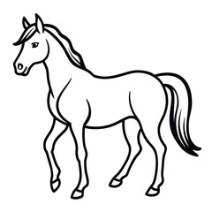 Obraz premium Adobe Illustrator Artwork