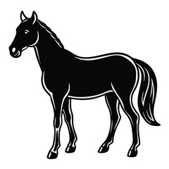 Obraz premium Adobe Illustrator Artwork