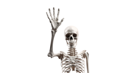 Skeleton raising hand in a peace sign isolated on transparent background	