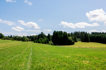 Wide panoramic view of lush green fields with scattered trees and power lines under a partly cloudy sky in the French countryside