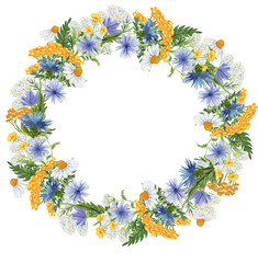 Watercolor floral wreath with wildflowers including cornflowers, tansy, yarrow, and chamomile, arranged in a natural circular shape. Perfect for rustic wedding invitations, greeting cards, and seasona