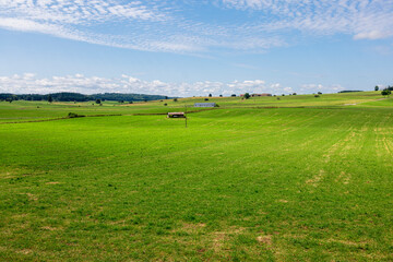 Naklejka premium Wide panoramic view of lush green fields with scattered trees and power lines under a partly cloudy sky in the French countryside