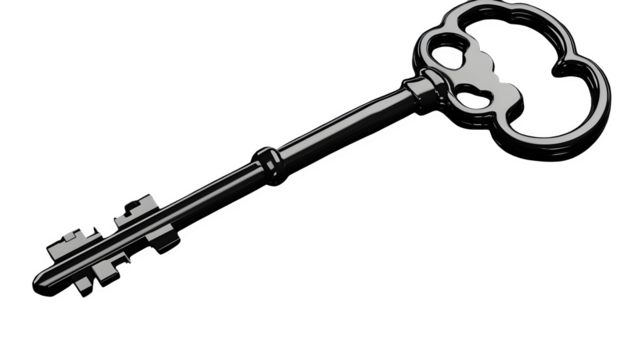 Black key icon with modern flat cut, cartoon plastic style, isolated on white background