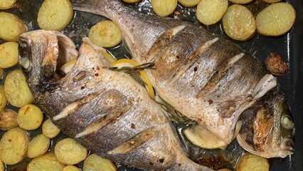 Roasted sea bream with golden potatoes, alluding to Mediterranean feast traditions, cloaked in...