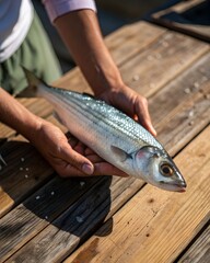 Fisherman's Hands Holding a Common Bream Over Wooden Planks
