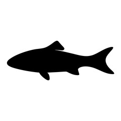 Silhouette of a fish swimming in the water with a powerful tail