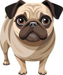 Pug Vector 