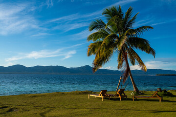 tropical beach with palm trees
