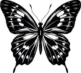 Beautiful Watercolor Butterfly Vector Soft Paste