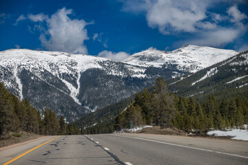 Naklejka premium colorado rockies