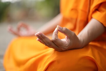 buddhist monks, monks