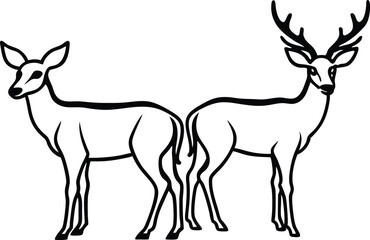 deer vector illustration