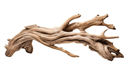 Isolated driftwood piece with unique texture and organic formations isolated on transparent background	