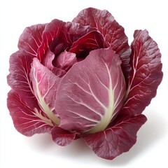 Obraz premium single head of radicchio deep red-purple leaves crisp fine organic texture soft diffused lighting balanced clean presentation 