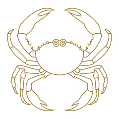Minimalistic crab illustration in golden linear style with clean outline and symmetrical shape, perfect for seafood branding, coastal decor, marine icons, logos, and ocean-themed design projects