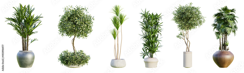 Aufkleber collection of beautiful plants in pots isolated on transparent background. 3d rendering.
