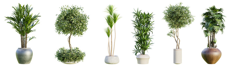 Collection of beautiful plants in pots isolated on transparent background. 3D rendering.