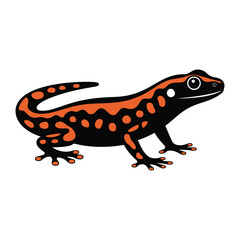 Stylized illustration of a salamander, featuring a black body with vibrant orange patterns along its back and limbs. 